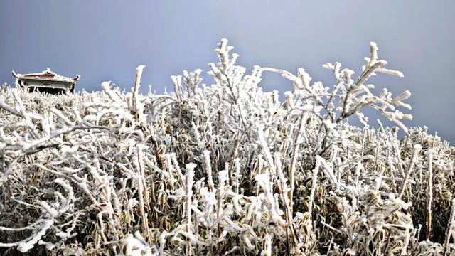 雪景 │ 美到词穷！仁怀首场雾凇惊艳上线