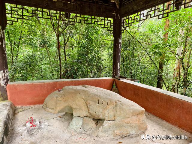 成都徒步（69）·彭州篇⑯法藏寺环线（桥断未走通）