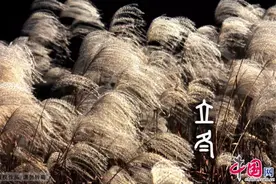 立冬丨10种食物有益健康图片