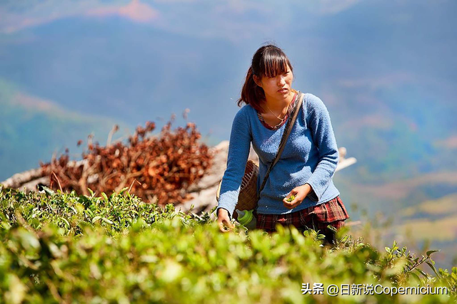 折腾30年，美国星巴克玩不转，反给中国咖啡品牌做了嫁衣裳