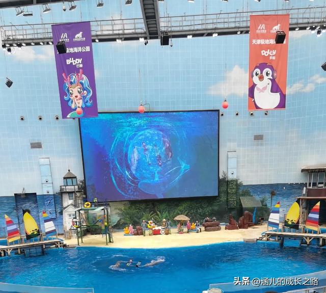 最新天津极地海洋馆一日游攻略——亲测实用!所有演出都可看完!