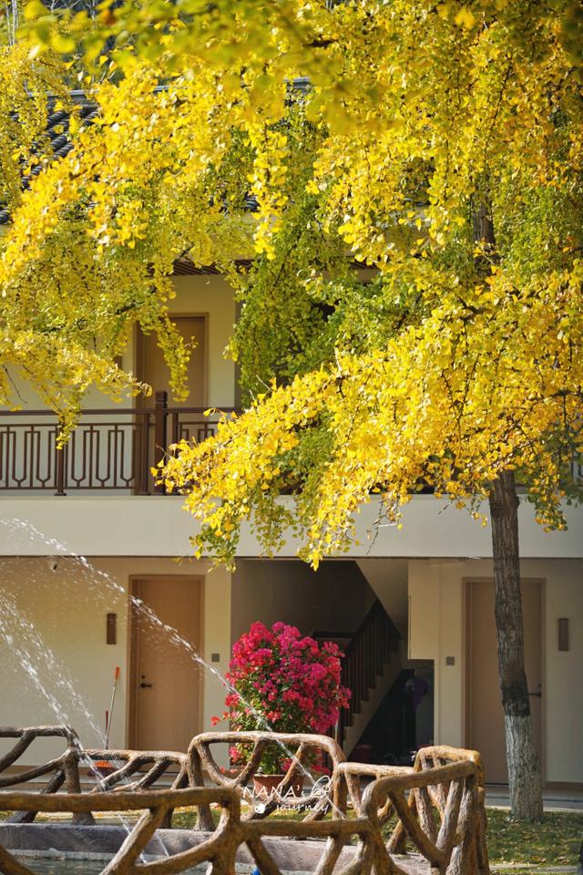 漫游韶关，赴一场山水间的秋日之约