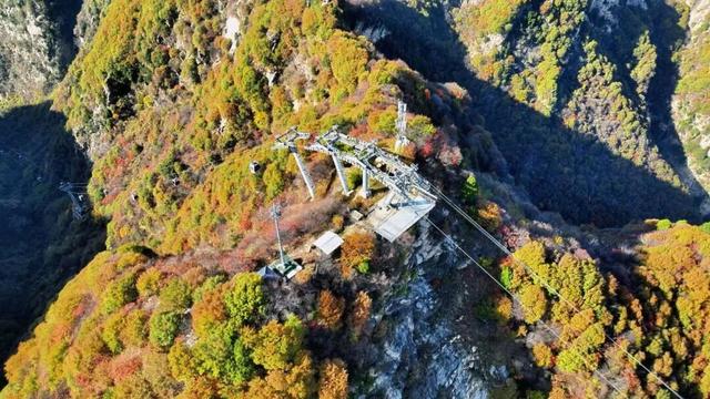 还能去哪儿赏最后一波秋色……