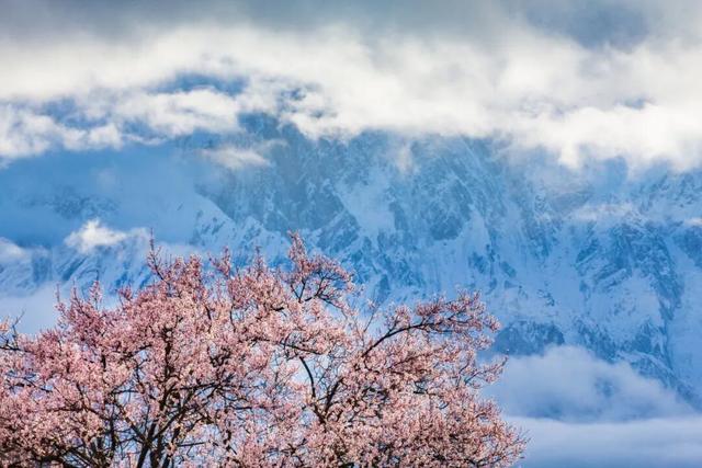 西藏最美公路！409公里串起雪山桃花湖泊
