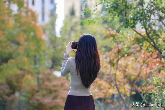 谁懂啊！这些打卡地的秋，连落叶都在教你拍照→