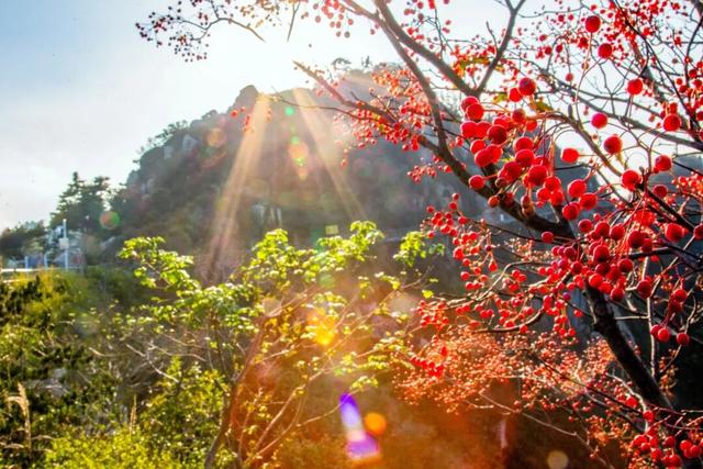 临沂，你真的好风光！！