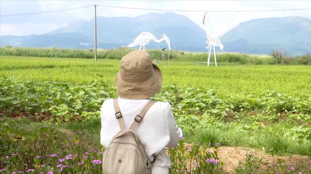 福保村打卡热 家门口的“诗和远方”