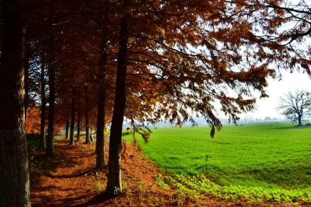 要火！太出片了！阜阳这里竟美到窒息，很多人不知道，赶紧去！多图拍下！