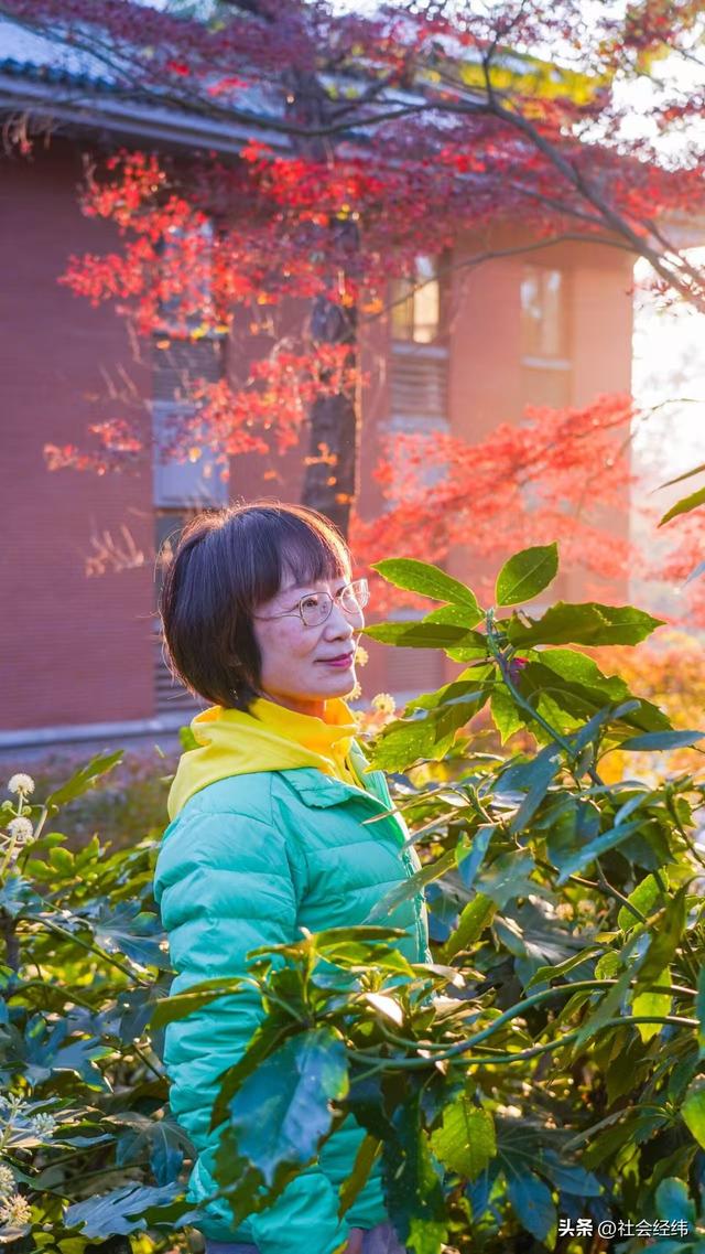 【每日一景】“枫”景这边独好 中山植物园红枫岗