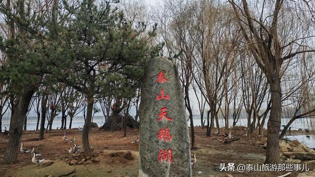 泰安：它是泰城西南著名景点之一，湖光山色，有诸多不同品类动物