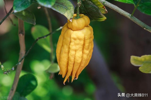 认识大美广东的每个县——第四波：新丰（岭南绿肺）