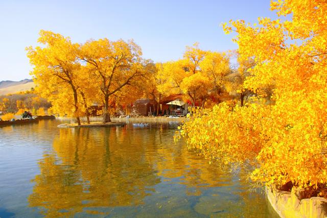 酒泉多坝沟胡杨峡，山势奇特，景色如画，隐藏着大西北的极致秋色