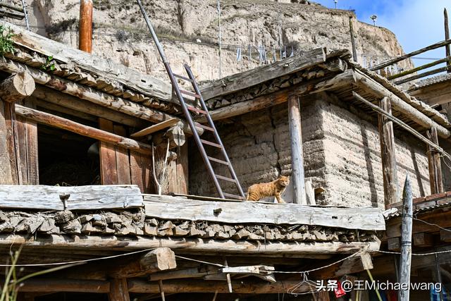 古意秋风三万里（D29）-从卓尼到迭部