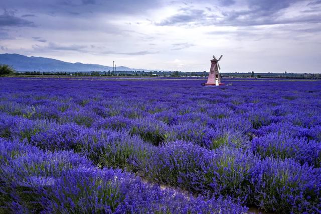 草原花海,塞外江南——超全新疆伊犁旅游攻略