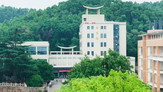 每两年一次！奥地利这场国际会议上，湖南教授获“重量级”表彰！