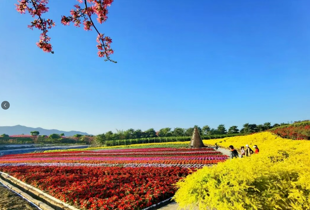 秋风送爽露营忙，三水五大露营宝地解锁自然之趣