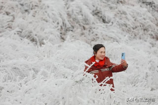 寒潮“炫技”成功！三江这地方浪漫值拉满