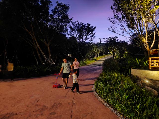 西丽湖国际科教城绿道，看霞飞满天，如梦似幻！长岭陂地铁C口