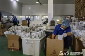 高质量发展调研行·走进塔城丨全链条赋能鹰嘴豆 托里如何做到？图片