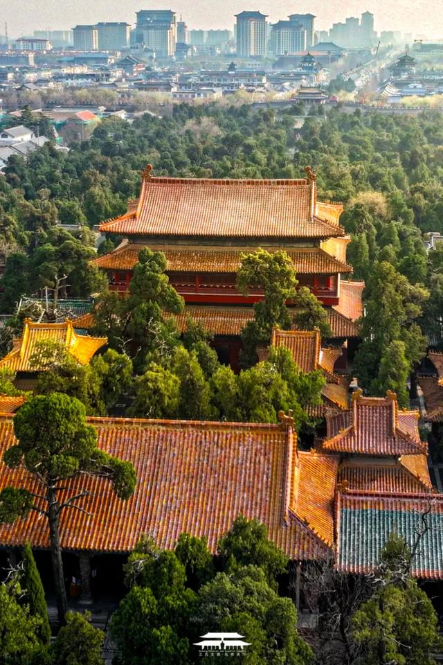 畅游齐鲁 乐GO山东!8条宝藏路线已备好,夏天的山东就该这么玩