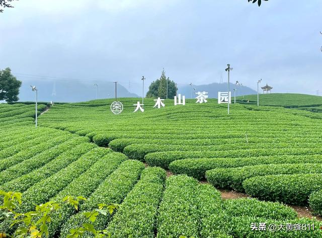 认识大美浙江的每个县——第30波：松阳