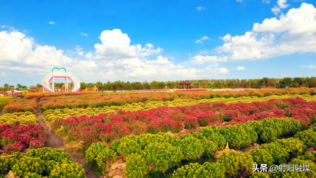 射阳秋冬顶流！出片率100%