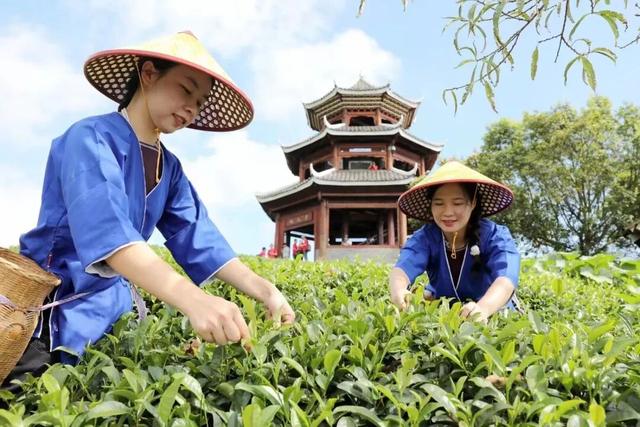 “丰”景这边独好！错过金秋，再等一年！