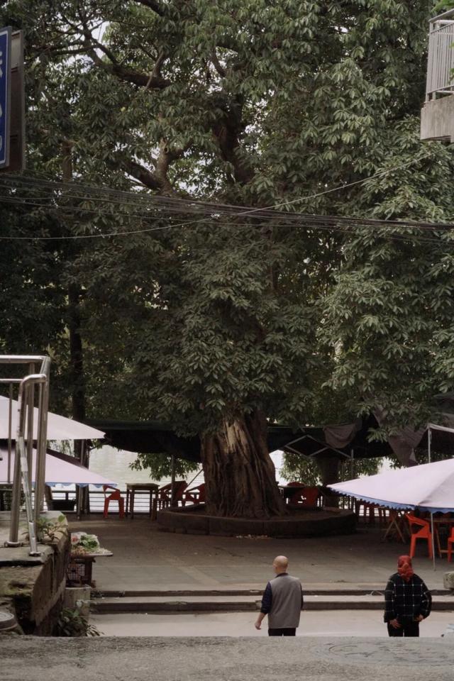 从成都出发，在龙泉山东麓邂逅一座千年场镇的温柔