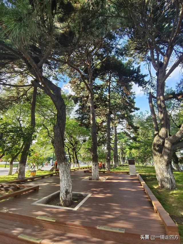 周末16点，长春新民大街又准时变身步行街，市集和舞台开放