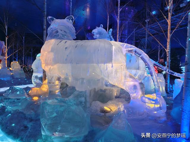 哈尔滨之行