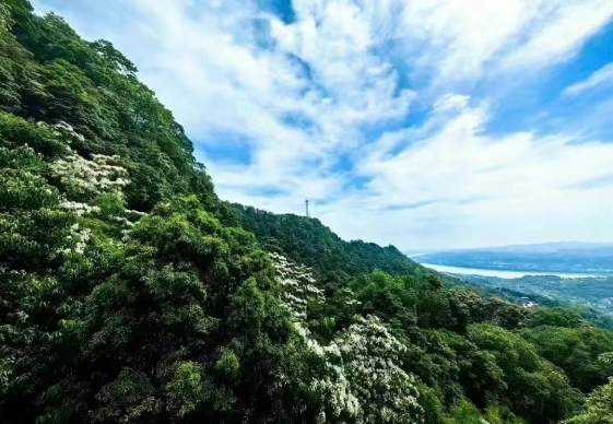 最低18℃！去泸州这些山水里，享受天然的“空调”！