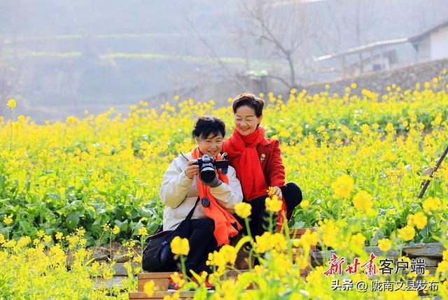 陇上江南冬日花韵