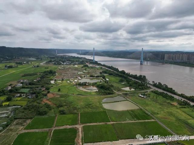 【江南镇村、社区风采】——红伟村：历史变革中的耀眼新星