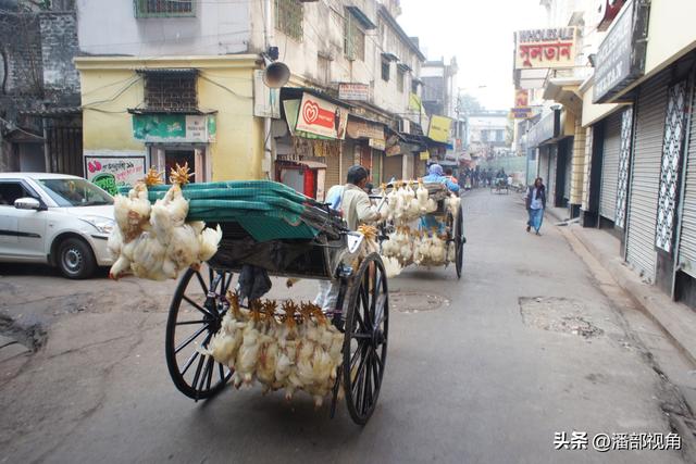 2019年2月，拍拍印度加尔各答街头生活
