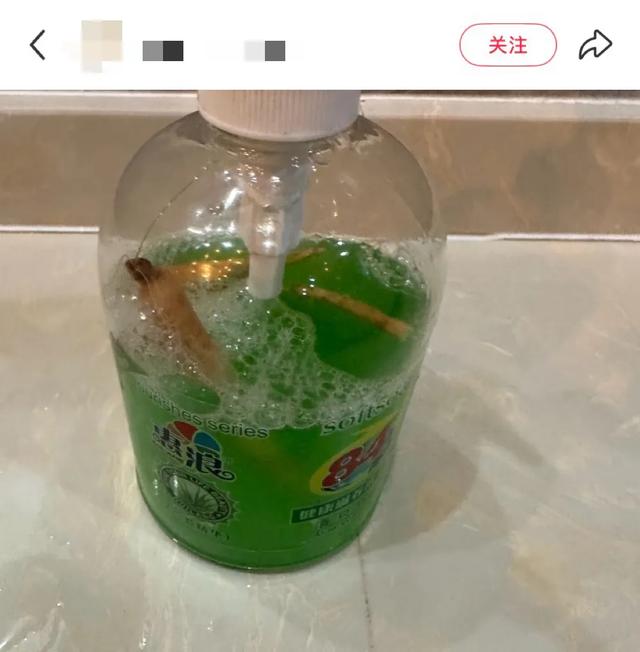 东北旅游，开始流行「命苦三件套」