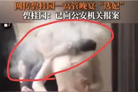 越高端越原始！网传碧桂园高管晚宴“选妃”官方回应来了网友炸了图片