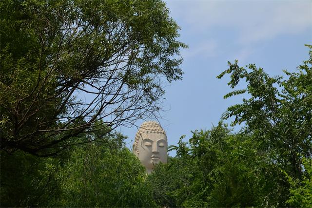 走进蒙山景区，感受夏日清凉...