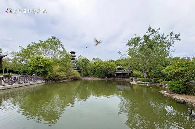 水帘飞泻、喷泉奏乐!厦门清凉“水上秘境”,周末走起→