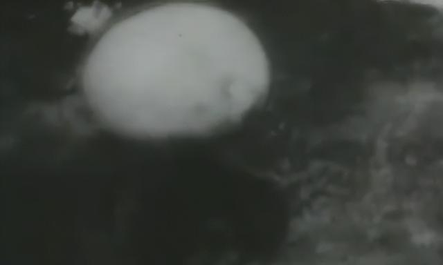 日本天皇亲自出山，对中国的反击正式开始	，高市早苗憋出了一妙计