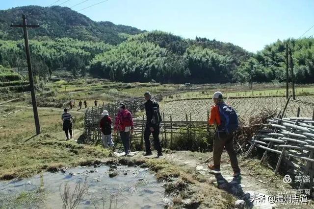 醉美林坑晒秋!这条连接两个避世古村落的省一级古道,周末可走起