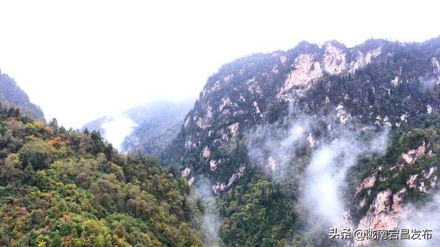 烟雨官鹅：国庆里的一轴流动水墨