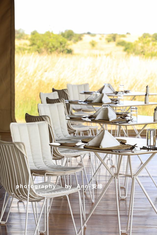 【坦桑尼亚】：法式的精致与东非丛林的狂野，无缝衔接！