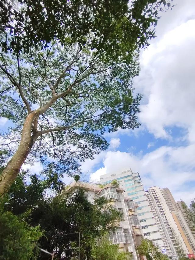 曾腾芳：在珠海登将军山