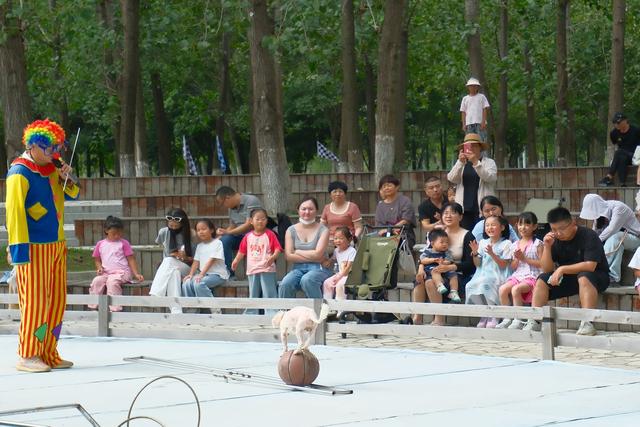 常熟尚湖飞熊乐园，一处藏在江南的梦幻岛，是假日遛娃的好去处