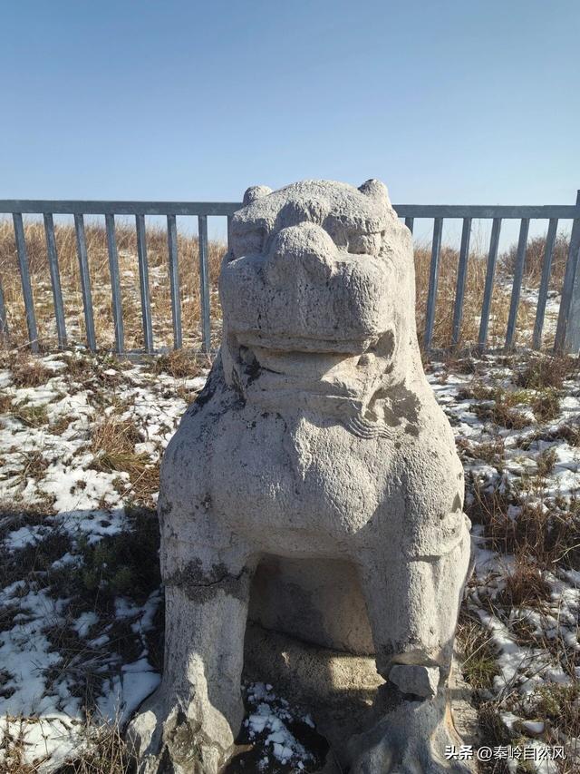 雪后初霁登顶嵯峨山，走荒野雪原，看千年悟空塔，感受历史的烟云