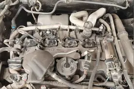 哈弗大狗开3万公里发动机故障，一直在4S店保养未换空滤谁之责？律师：店家应担责图片