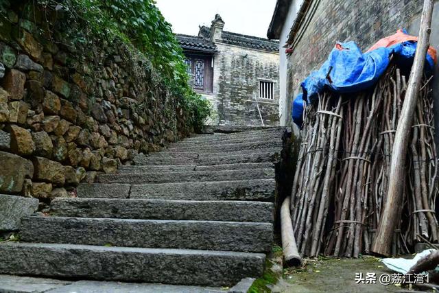金叶映古村，醉美长岗岭