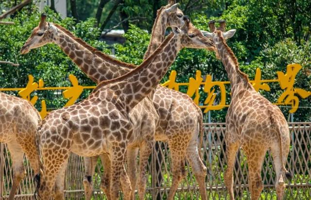自驾骑行首选！太湖9号公路，沿湖而行的秋季治愈之旅
