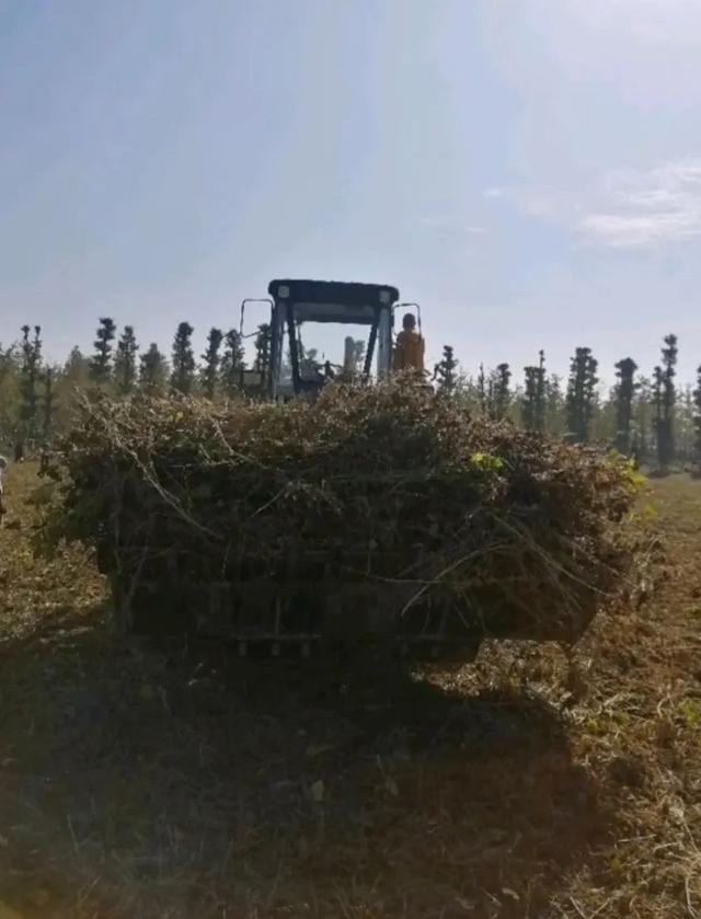 临危受命后直接掀翻释永信式商业，少林寺新住持，到底什么来头？