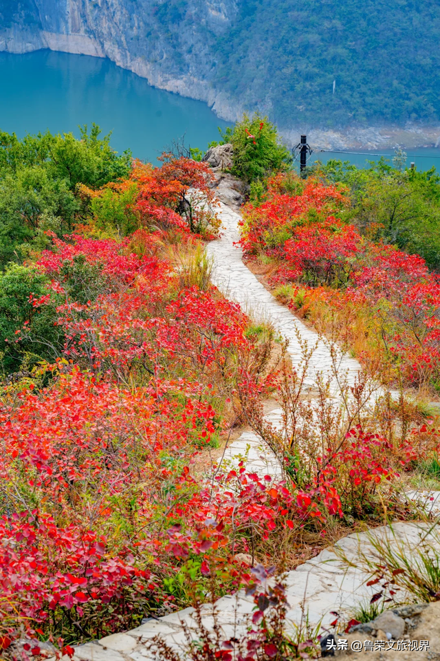 徒步三峡：霜叶漫山处，一步一千年
